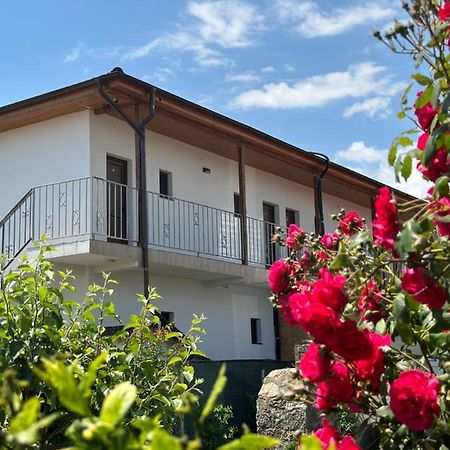 Vila Bloom Вама-Веке Экстерьер фото