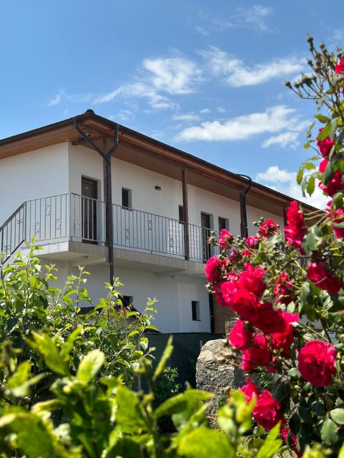 Vila Bloom Вама-Веке Экстерьер фото